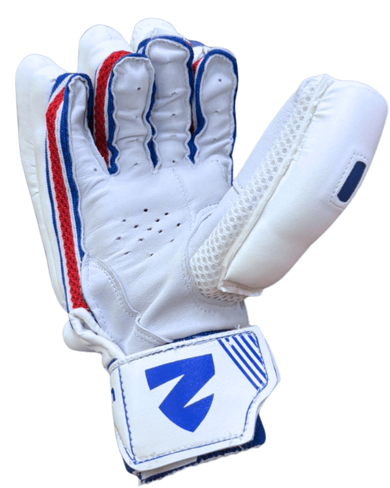 Sovereign Batting Gloves — Inside View